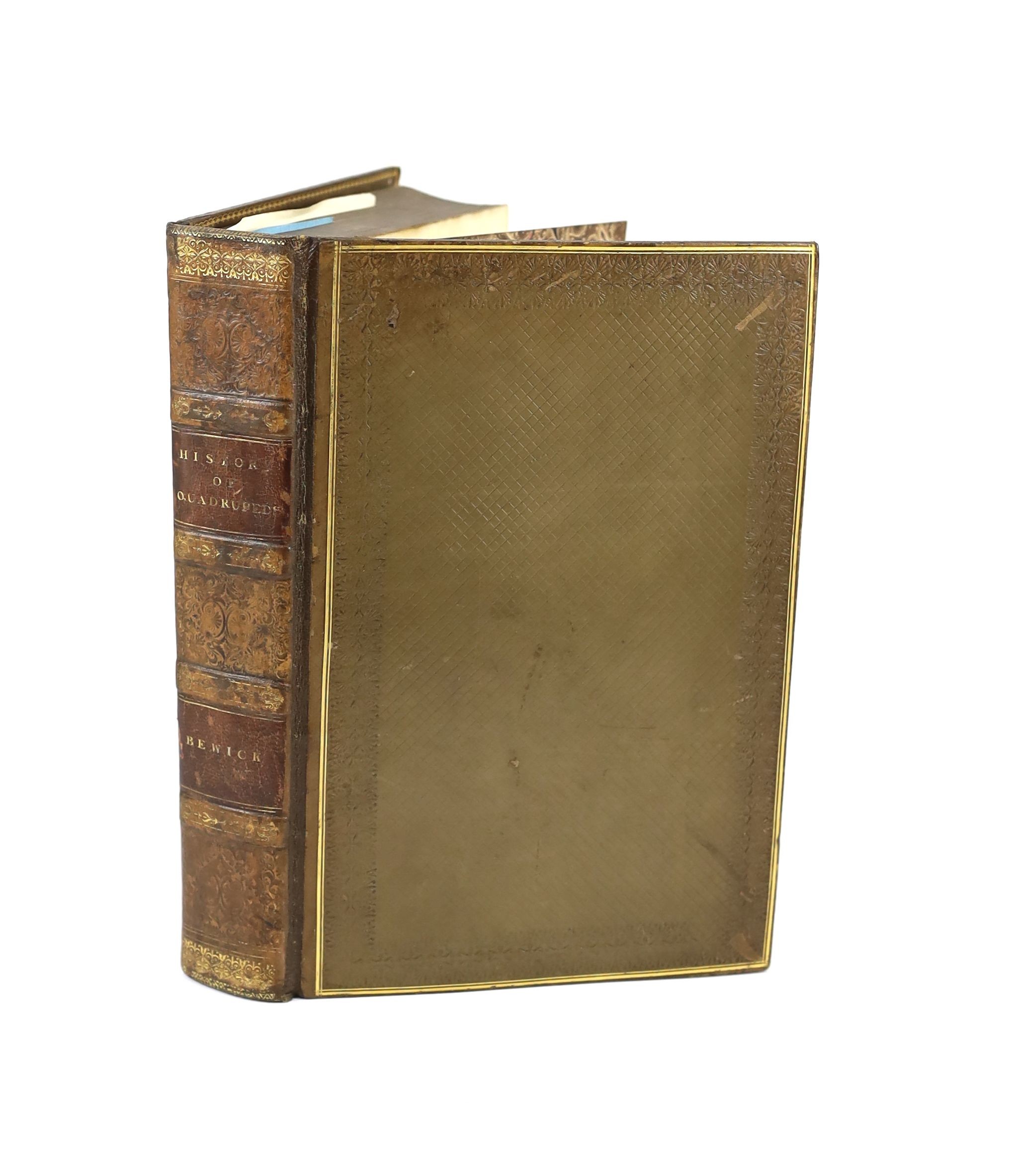 Bewick, Thomas - A General History of Quadrupeds, 7th edition, 8vo, diced calf rebacked, Newcastle, 1820